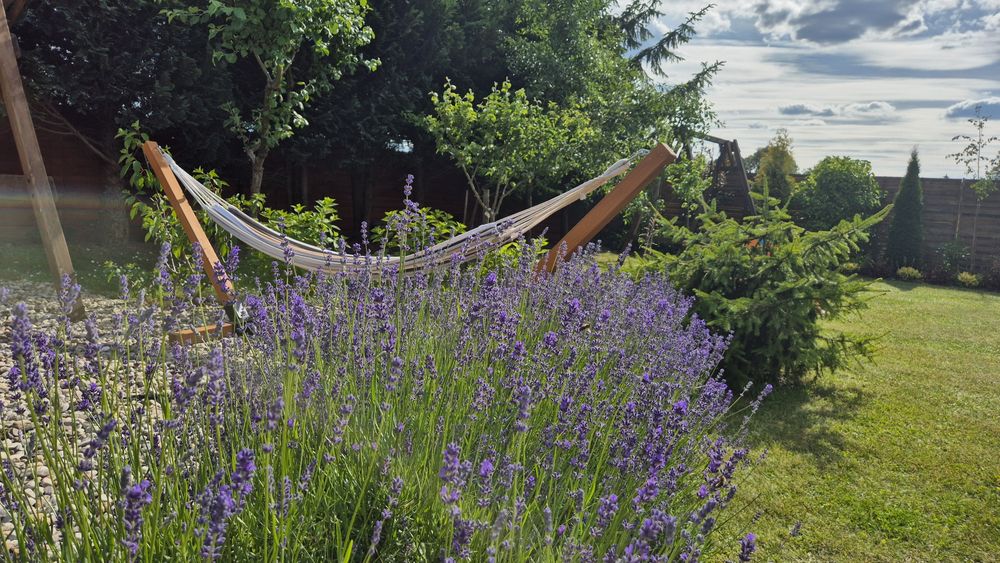 Domek na Mazurach  Lavendowe Zacisze cisza,  jezioro, sauna, bania