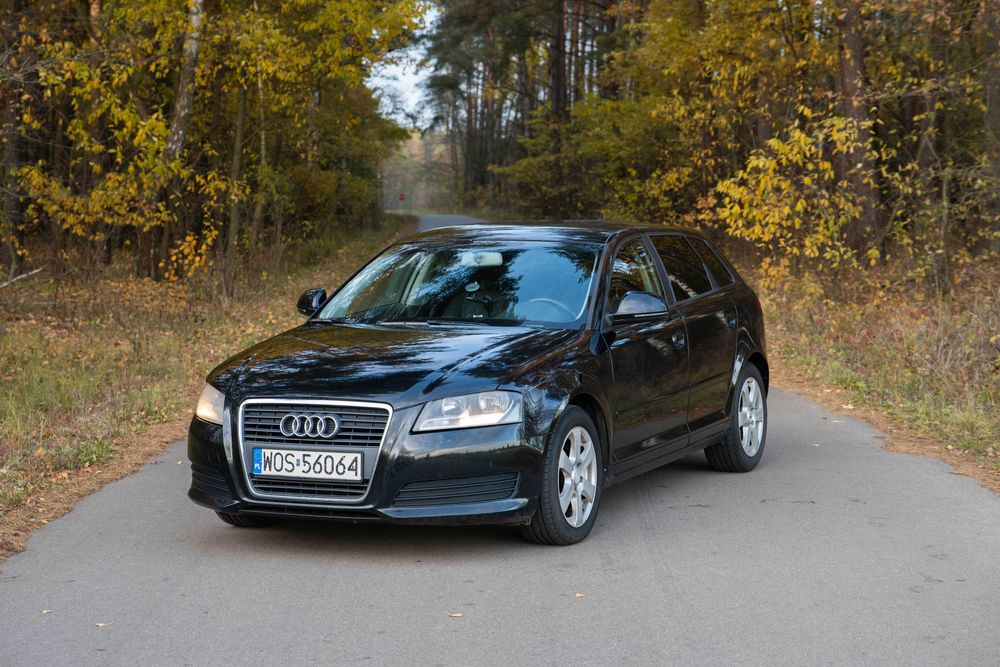 Audi A3 8P 1.9TDI