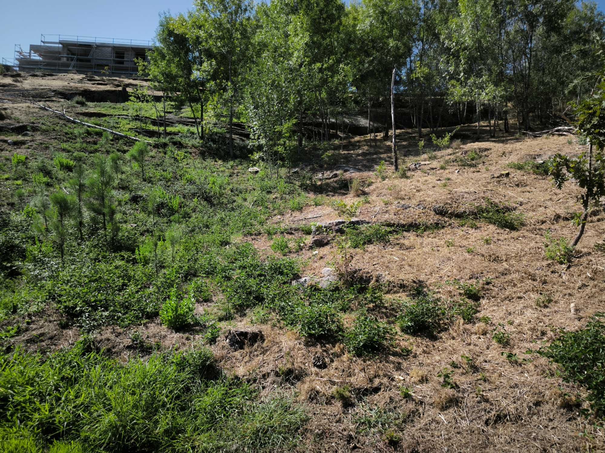 Terreno para venda(construção), em Sanche, com 2736m2