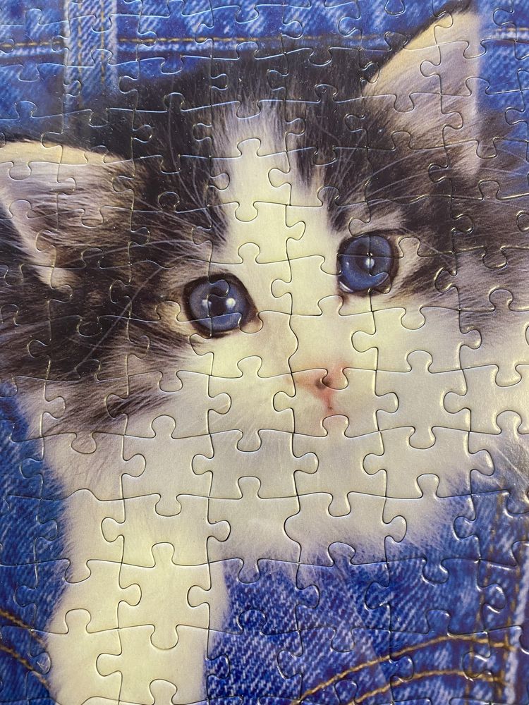 Puzzle gato com moldura