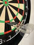 lotki peter wright snakebite PL15