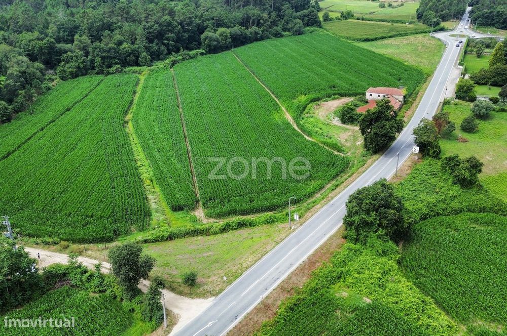 Terreno c/1.184m2 em Encourados, Barcelos!