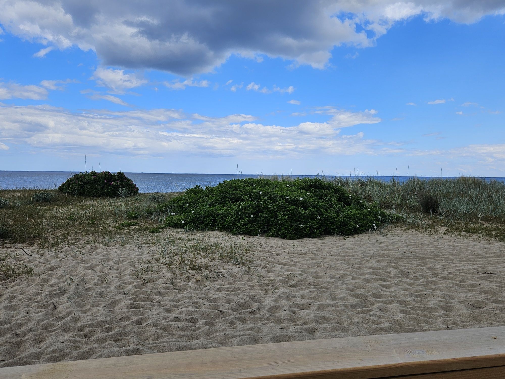 Apartament blisko plaży Mechelinki