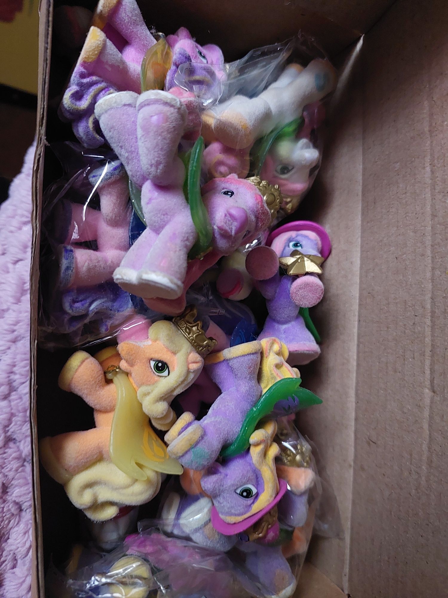 Поні філлі, pony filly