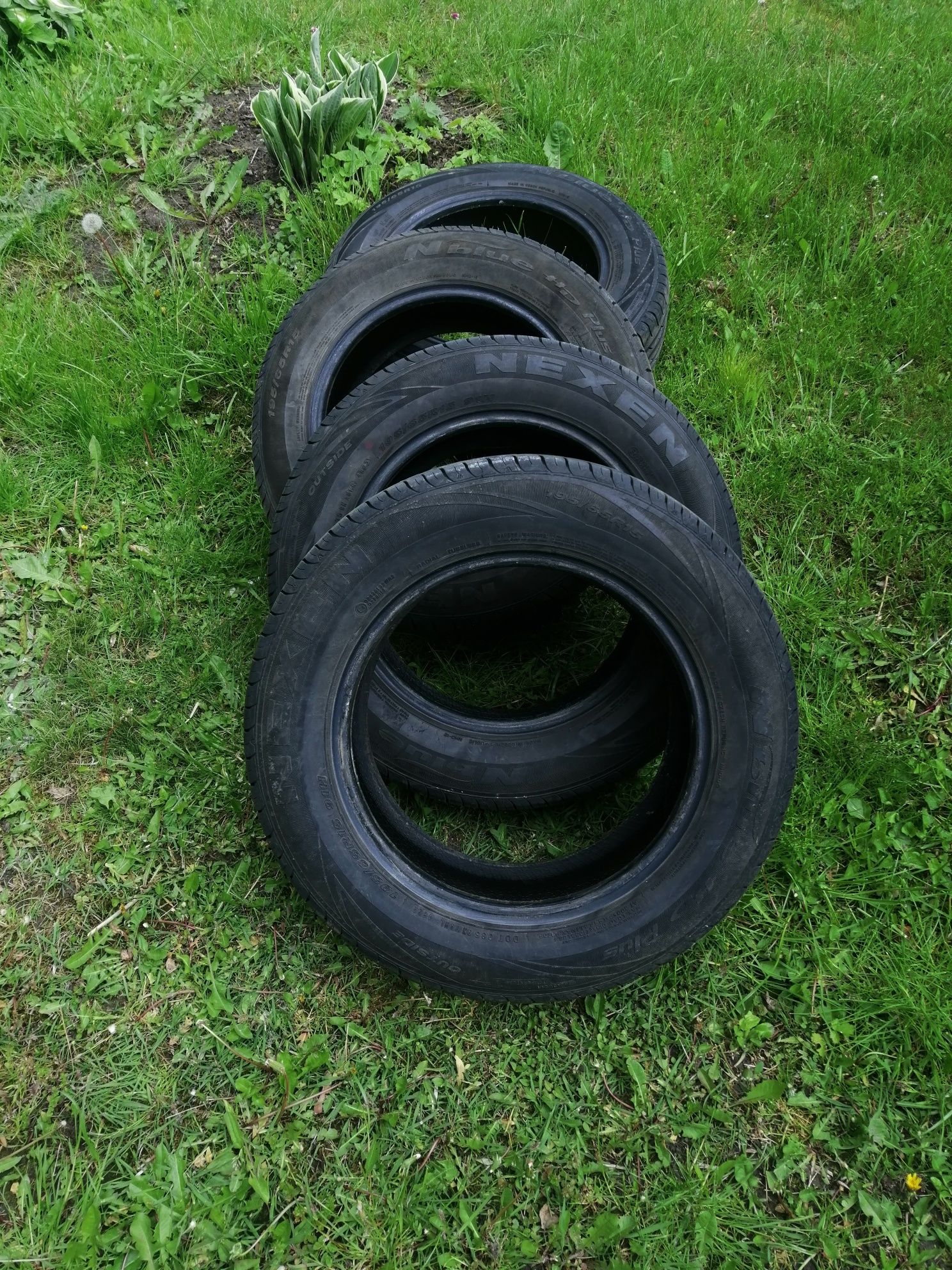 Opony letnie NEXEN