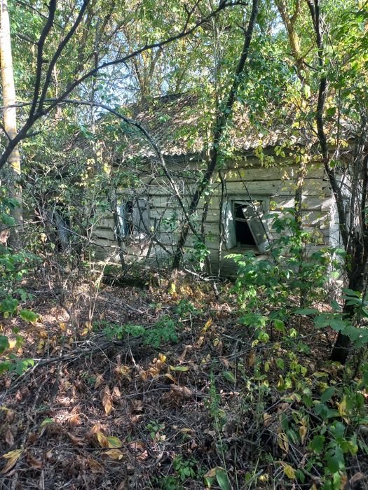 Земельна ділянка