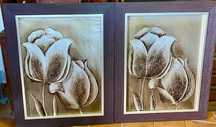 Quadros pintados