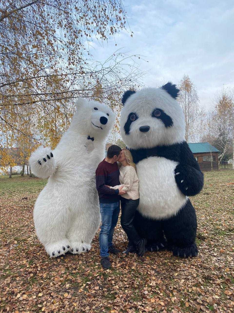 Великий білий ведмідь, велика панда