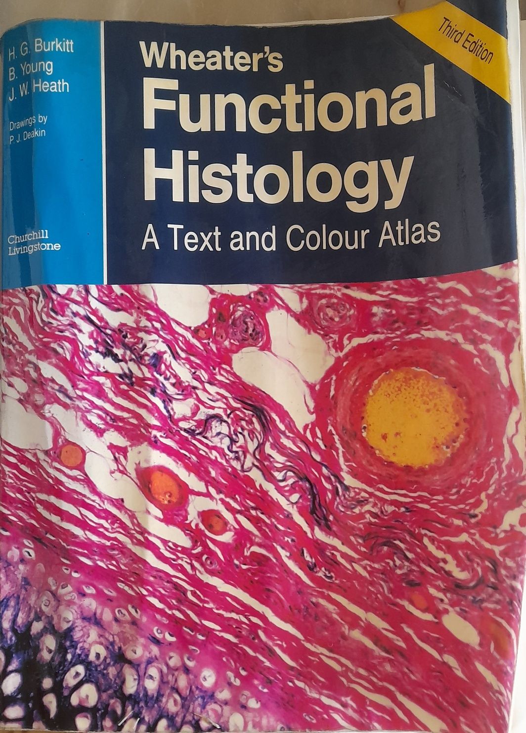Wheater's Funcional Histology / Churchill Livingstone - ÚLTIMOS DIAS