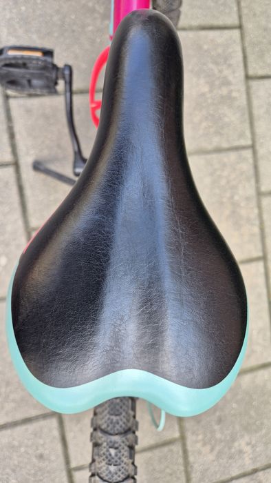 Rower młodzieżowy Mili Indiana 20 cale