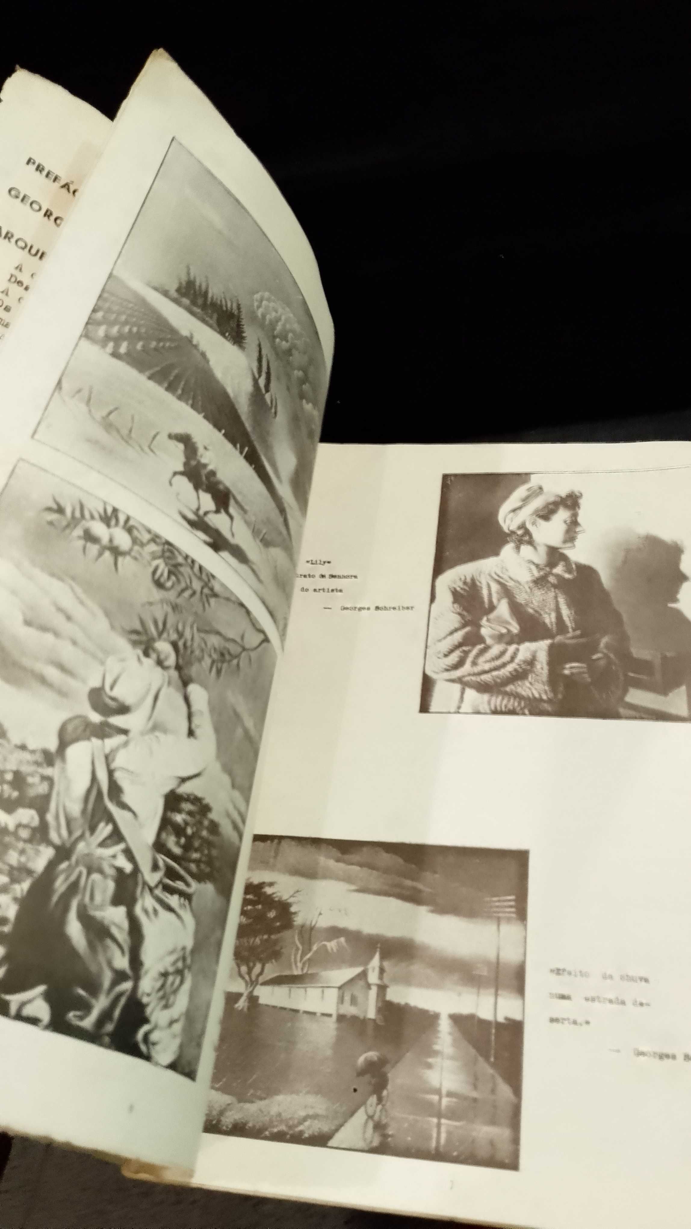 Noticiário de Arte e Arqueologia na América do Norte