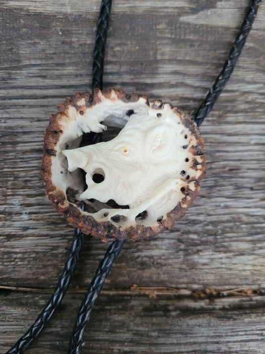 Dzik odyniec Bolo krawatnik poroze jelenia losia