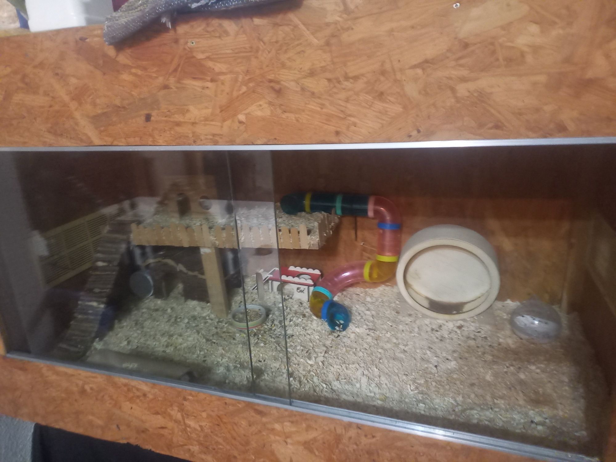Terrario para repteis ou anfibios
