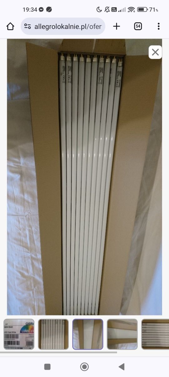 Świetlówka Lumilux Osram 54W/840