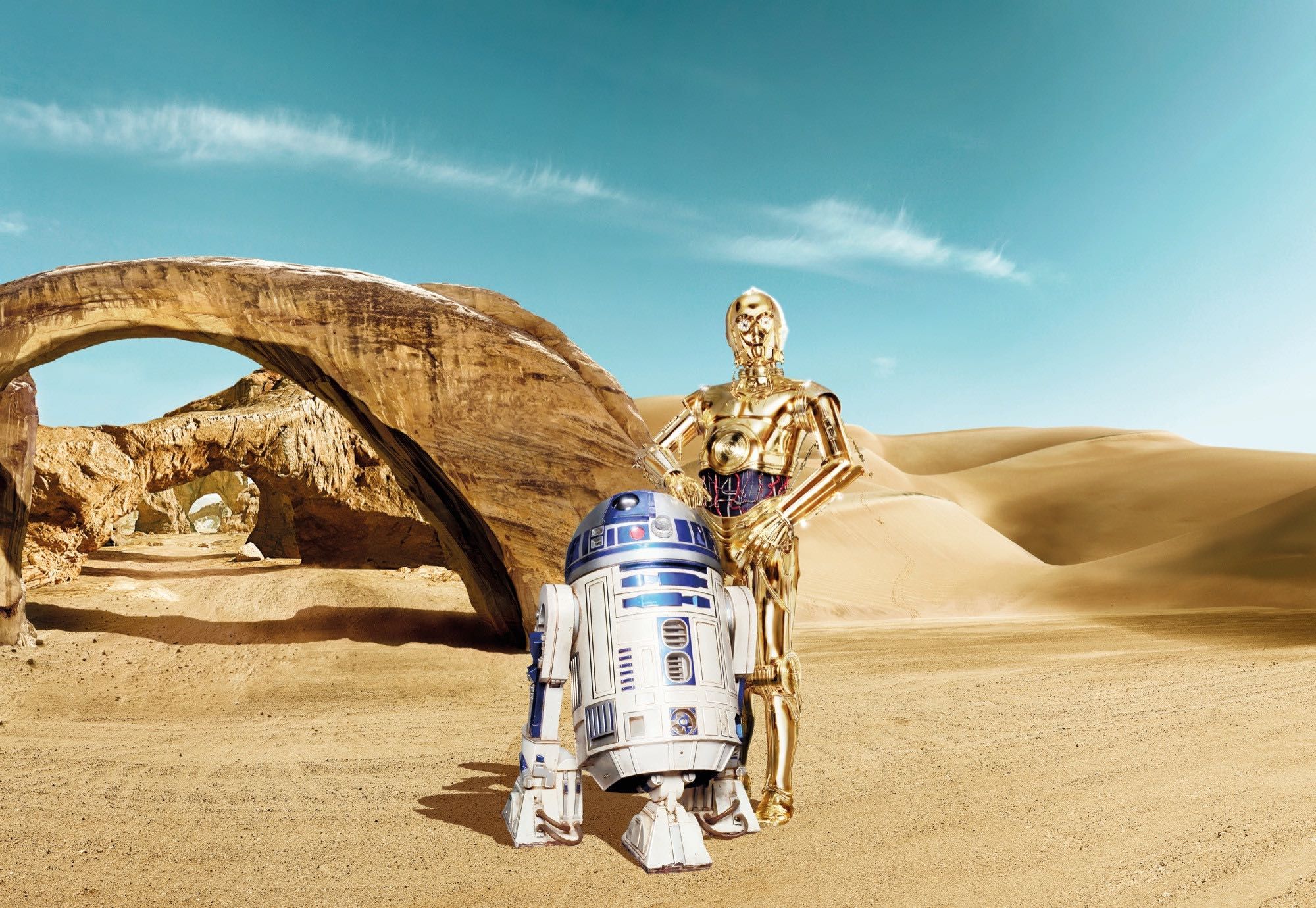 Fotomural STAR WARS by KOMAR 8-484 Star Wars Lost Droids