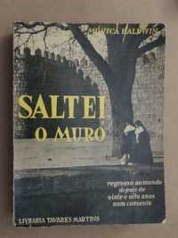 Saltei o Muro de Mónica Baldwin