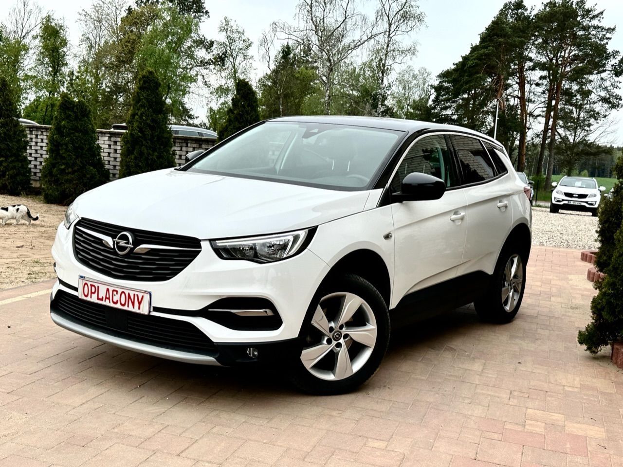 Opel Grandland X