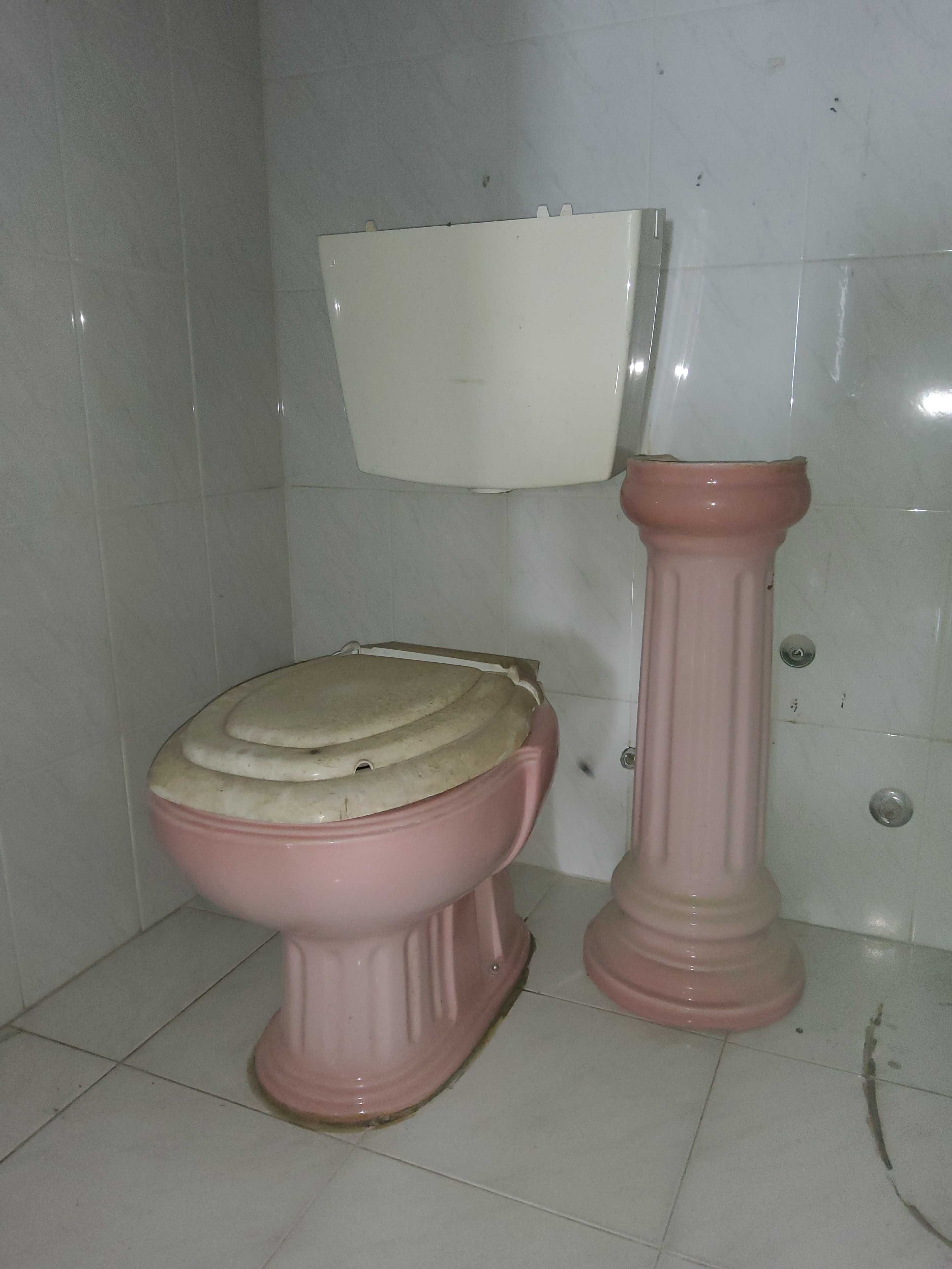 Banheira+Loiças rosa WC Valadares completo exceto pia de lavatório