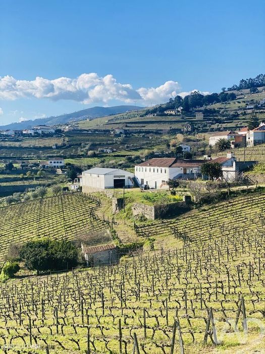 Quinta T3 em Fontelas de 1020,00 m2