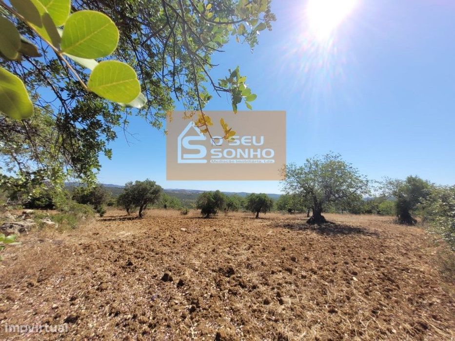 Terreno Rústico - 4.800 M²