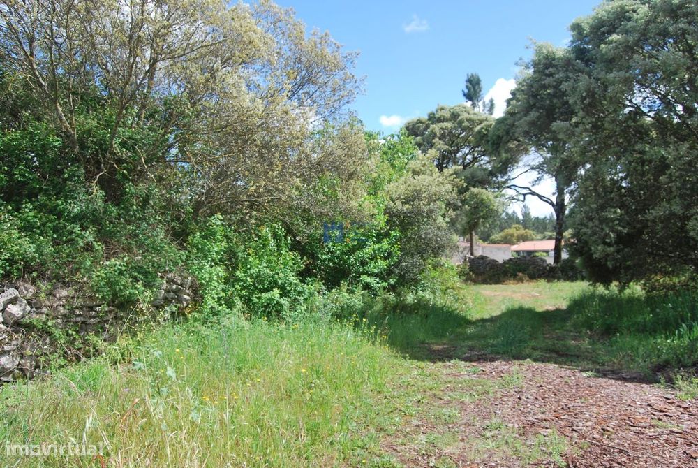 Terreno para construção em Fatima no lugar de Châ