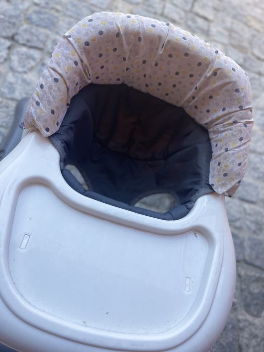 Andador (aranha)