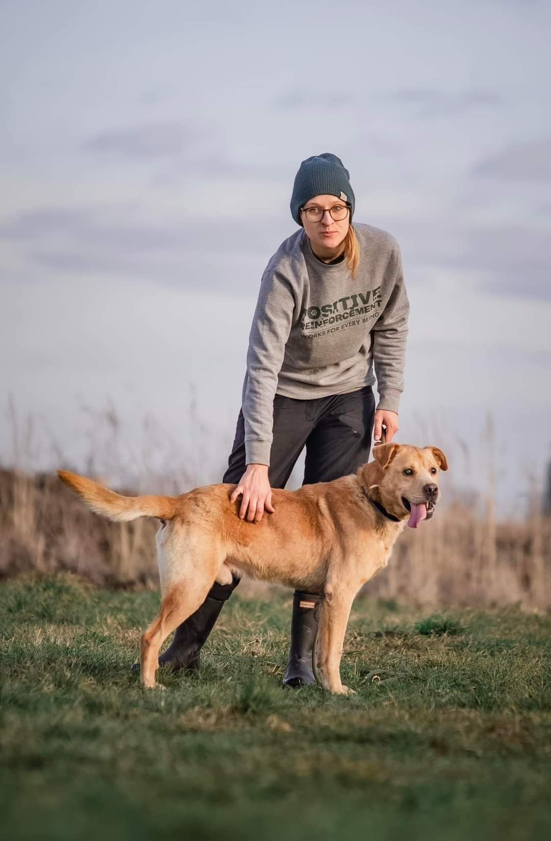 Radosny beżowy psiak w typie labradora szuka domus