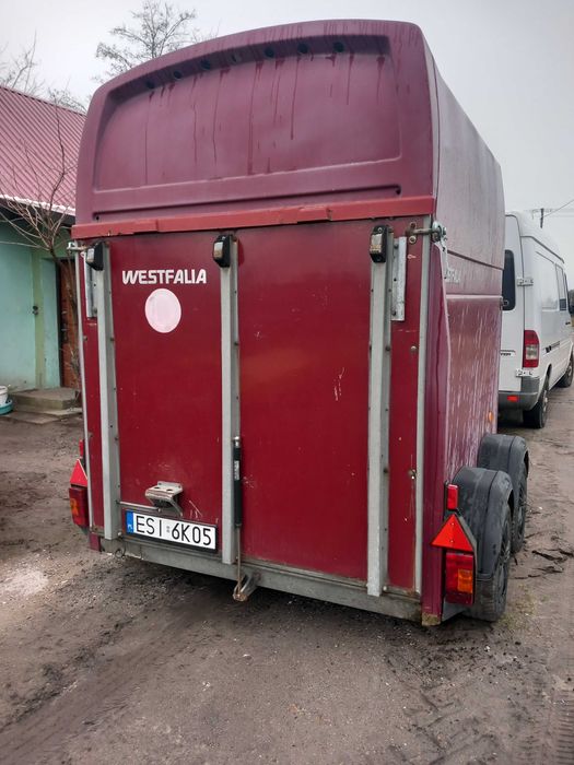 Transport koni , transport zwierzat 24/7