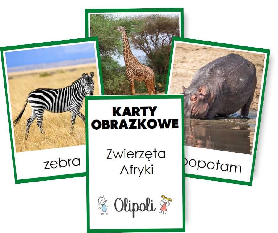 Karty obrazkowe fiszki ze zdjęciami zwierzęta Afryki Montessori 16szt