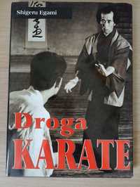 Droga karate Shigeru Egami znakomita pozycja stan idealny