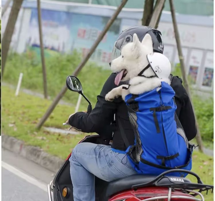 Mochila transporte cão L