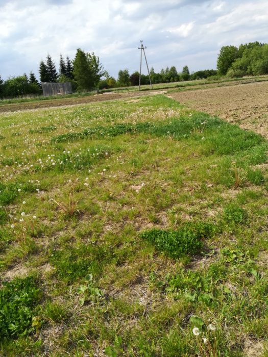 Dzialka Konstancin Jeziorna