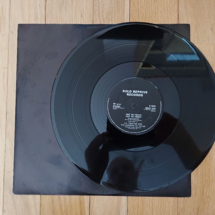 D.J. Trotter + The Farmers of House, 1988, Ideał-