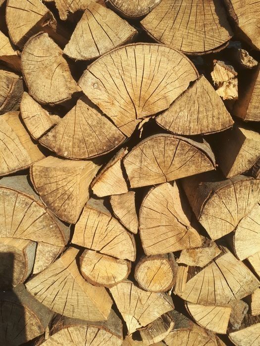 Drewno opałowe. Suche lub świeże.