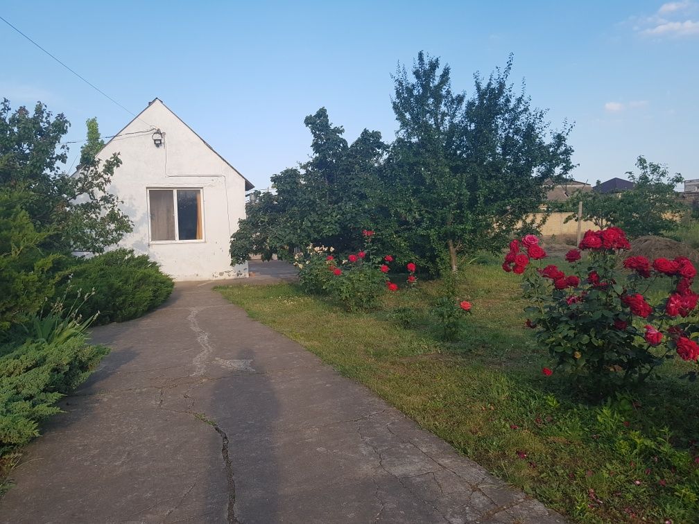 Дом посуточно в Одессе. Домик посуточно.