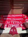 Cachecóis do BENFICA - SLB ao pescoço