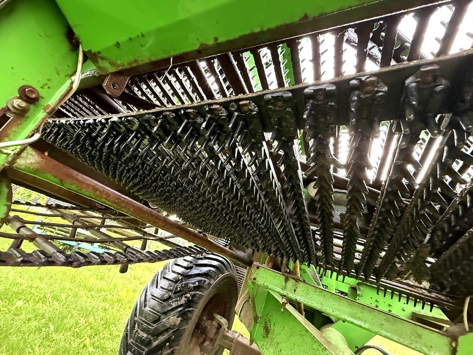 Kombajn do ziemniaków Wuhlmaus 1433 P Grimme bergmann anna