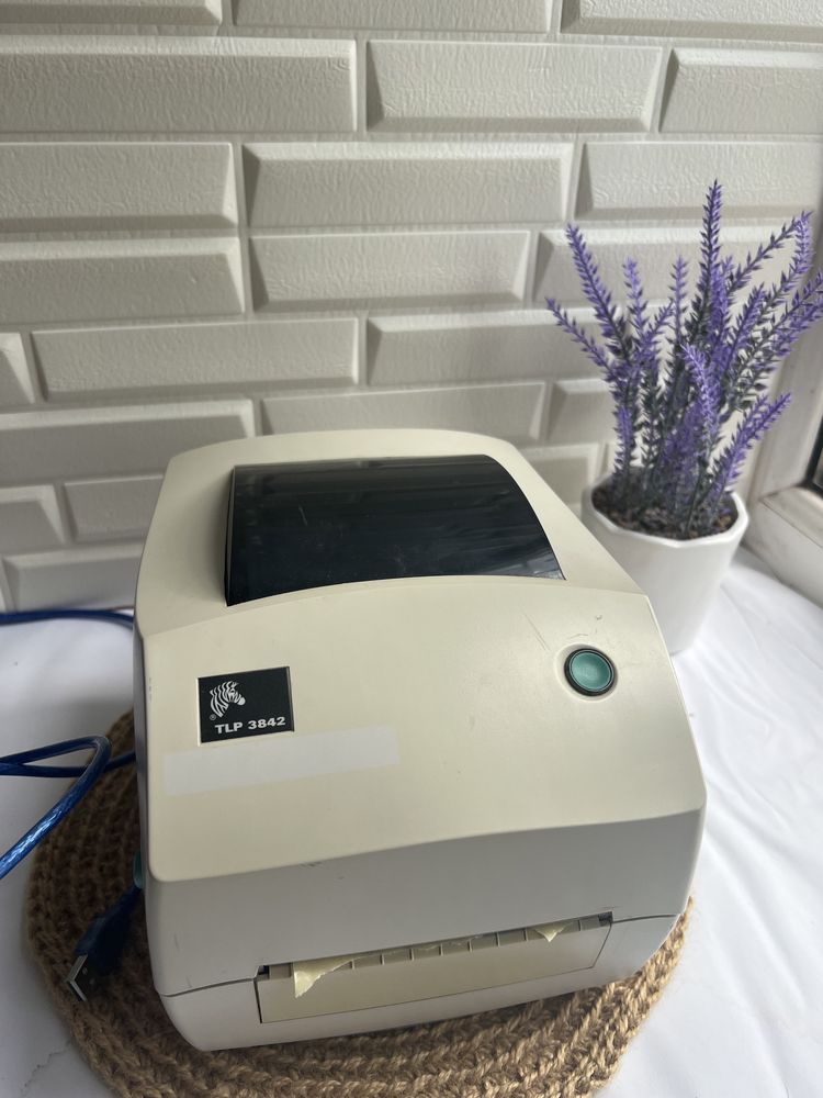 Принтер Zebra TLP 3842