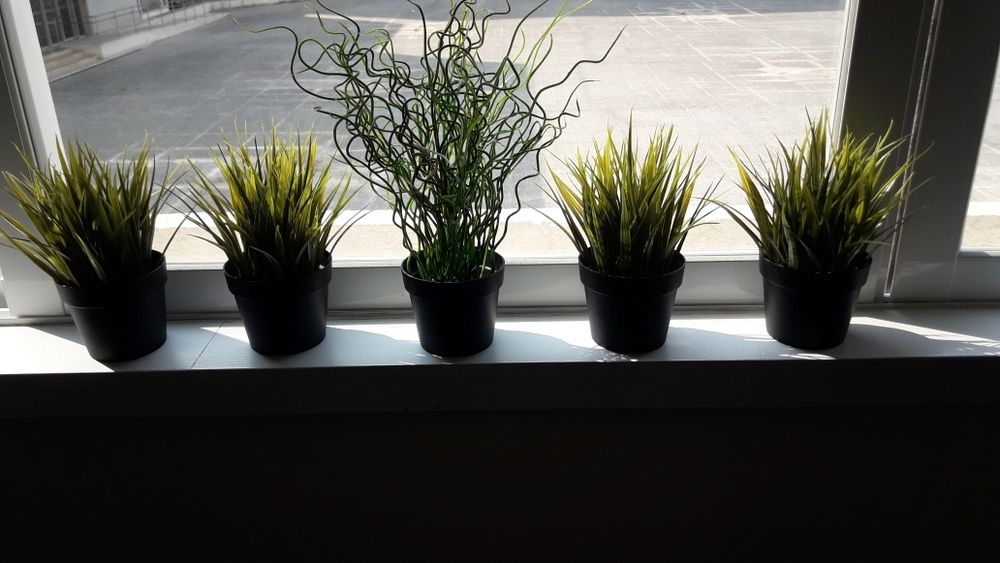 Plantas Ikea com vaso