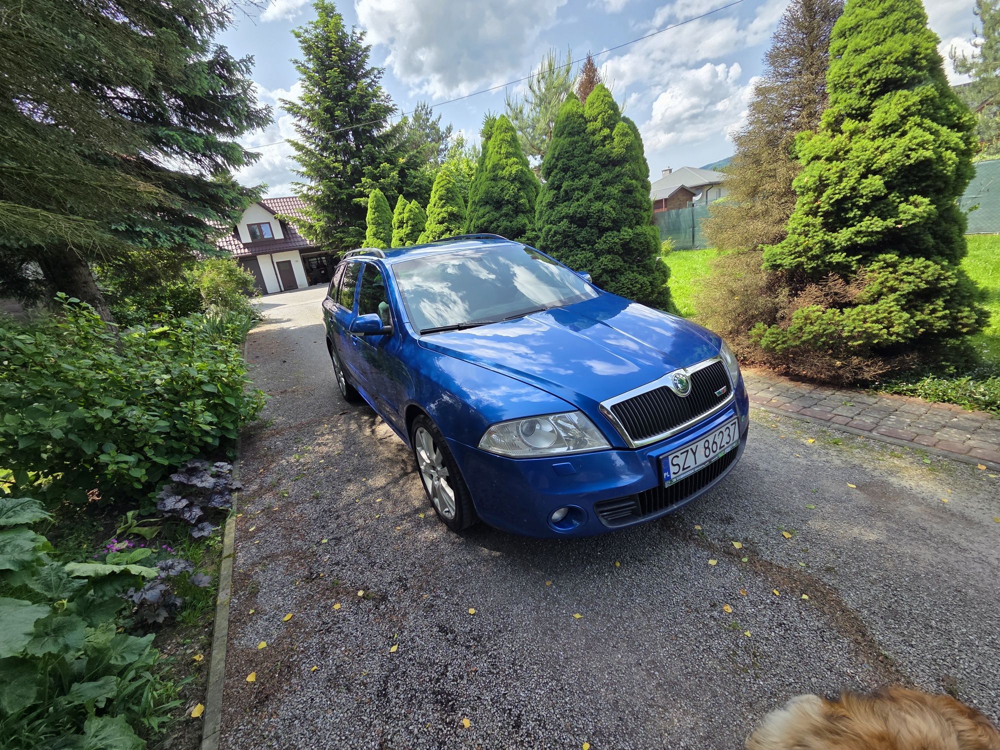 Skoda Octavia II RS TDI