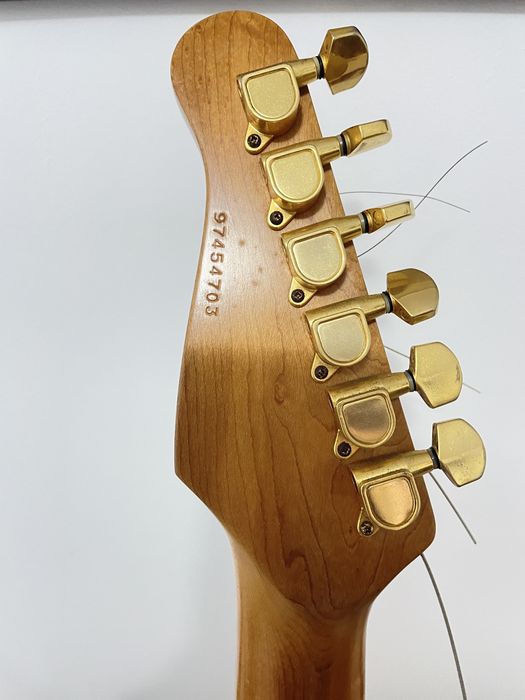 Godin SD24 com hard case original