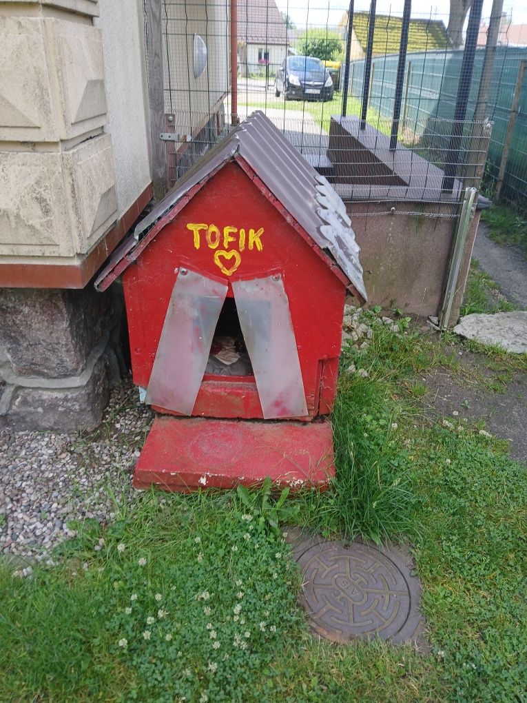 Buda dla pieska stan dobrymi