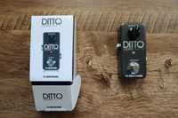 Pedal (TC ELECTRONIC) Ditto Looper usei com Marshall e Mesa Boogie