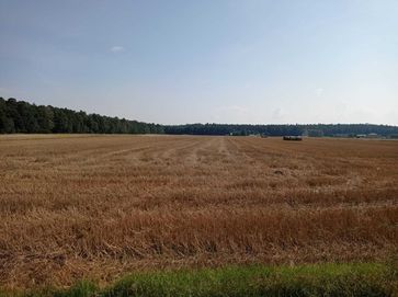 Sprzedam działkę rolną 4,04 ha Srebrna gmina Naruszewo