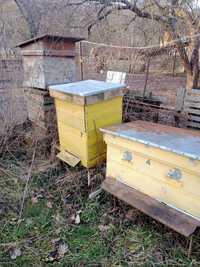 Вулики для бджіл