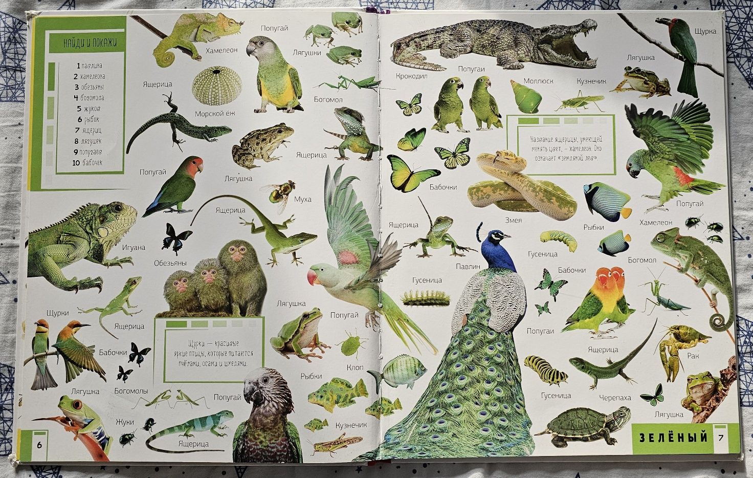 Книжка "Животные: учим цвета и цифры", вид-во Vivat