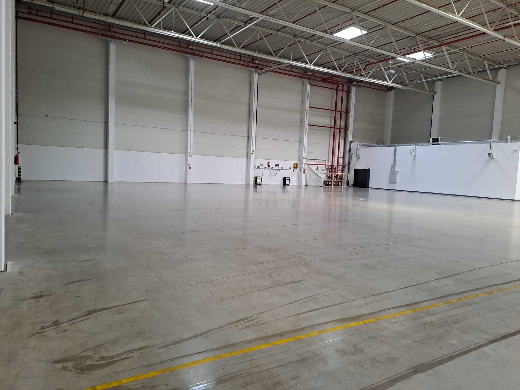 Magazynowanie z obsługą logistyczną – ALL IN ONE. ŁÓDZKIE. 1000 m2