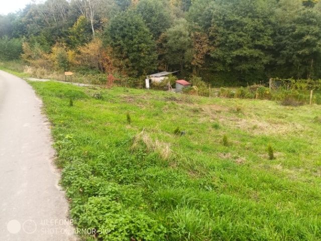 Sprzedam/Zamienię 7140m2 /Warunki zabudowy/Ładna działka