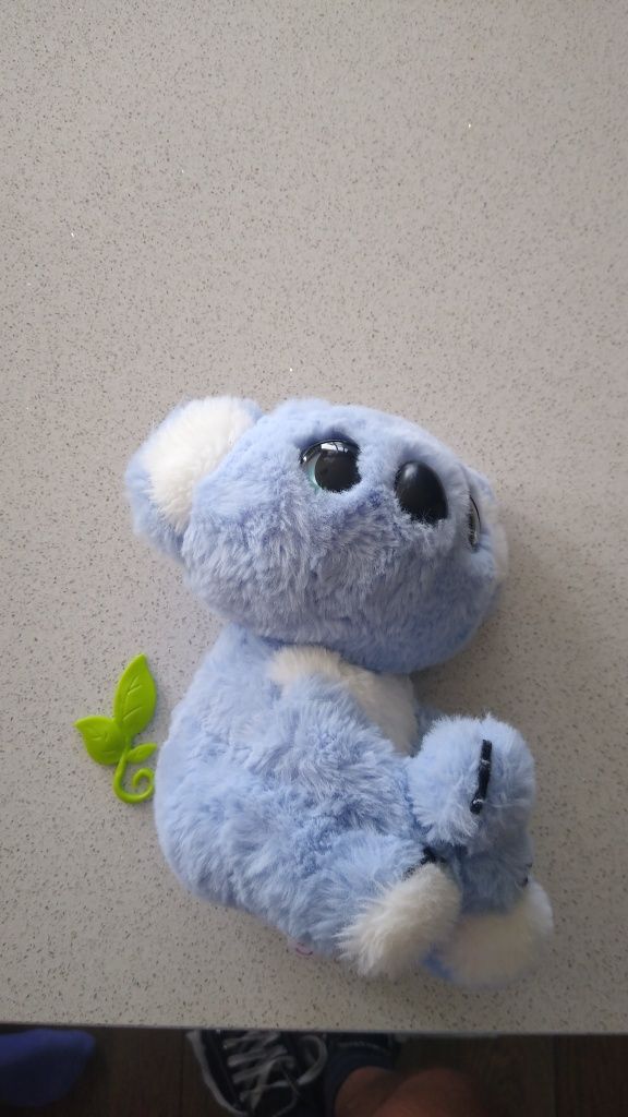 Panda interaktywna Polecam