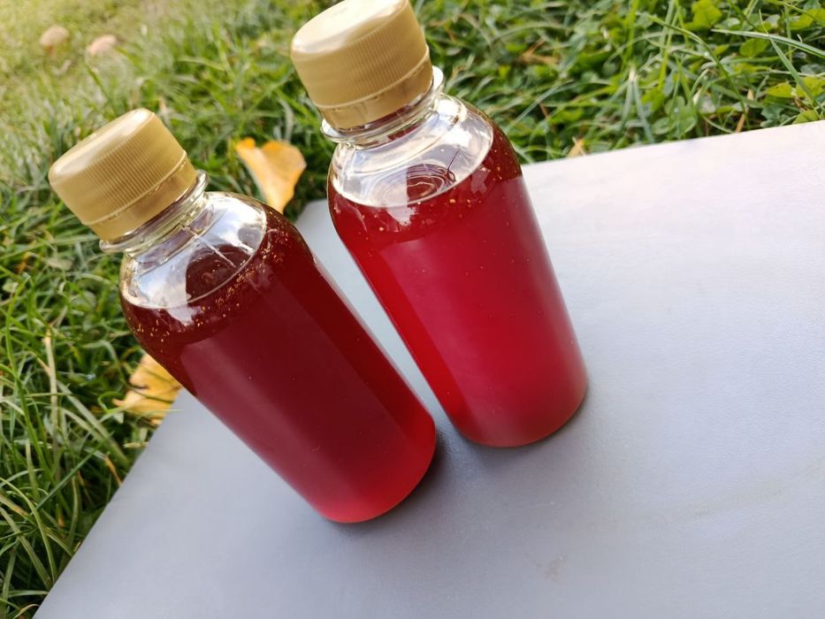 Гарбузова олія власного виробництва